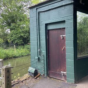 Bristol Zoo Monkey Jungle