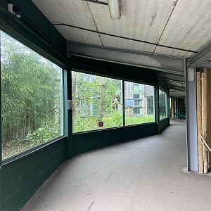 Bristol Zoo Monkey Jungle