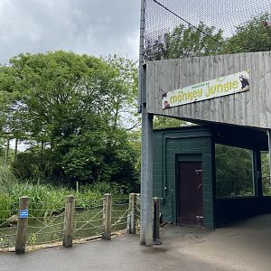Bristol Zoo Monkey Jungle