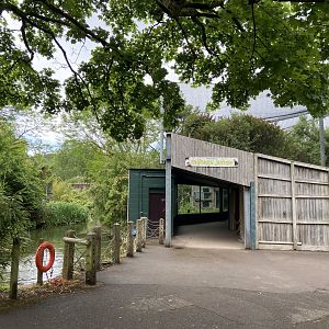 Bristol Zoo Monkey Jungle