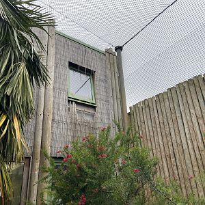 Bristol Zoo Monkey Jungle lemur walkthrough