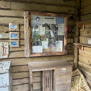 Bristol Zoo Monkey Jungle lemur walkthrough