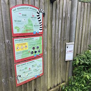 Bristol Zoo Monkey Jungle lemur walkthrough