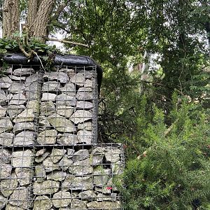 Bristol Zoo Monkey Jungle lemur walkthrough