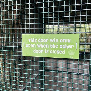 Bristol Zoo Monkey Jungle lemur walkthrough