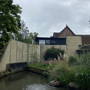 Bristol Zoo Gorilla Island