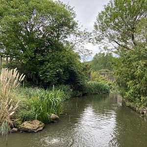 Bristol Zoo Gorilla Island