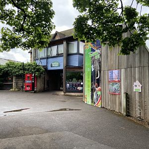 Bristol Zoo Gorilla Island