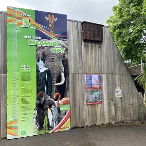 Bristol Zoo Gorilla Island