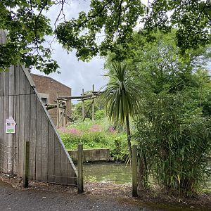 Bristol Zoo Gorilla Island