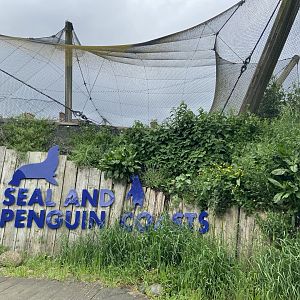 Bristol Zoo Seal and Penguin Coasts