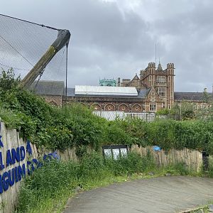 Bristol Zoo Seal and Penguin Coasts