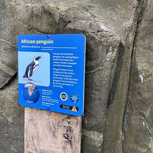 Bristol Zoo Seal and Penguin Coasts