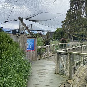 Bristol Zoo Seal and Penguin Coasts