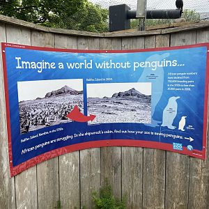 Bristol Zoo Seal and Penguin Coasts