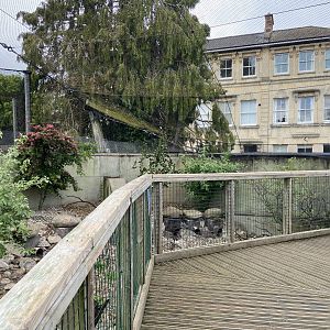 Bristol Zoo Seal and Penguin Coasts