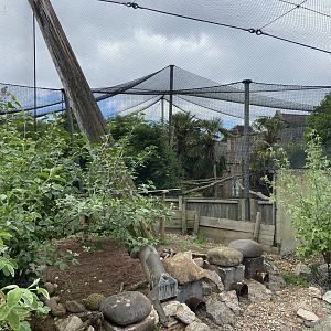 Bristol Zoo Seal and Penguin Coasts