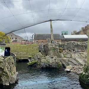 Bristol Zoo Seal and Penguin Coasts