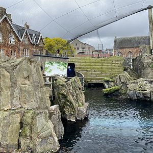 Bristol Zoo Seal and Penguin Coasts