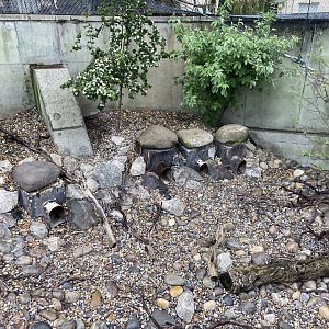 Bristol Zoo Seal and Penguin Coasts