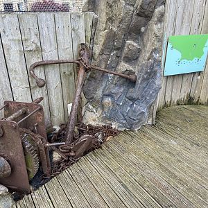 Bristol Zoo Seal and Penguin Coasts