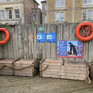 Bristol Zoo Seal and Penguin Coasts