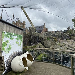 Bristol Zoo Seal and Penguin Coasts