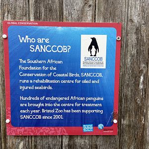 Bristol Zoo Seal and Penguin Coasts