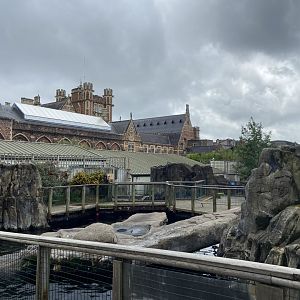 Bristol Zoo Seal and Penguin Coasts