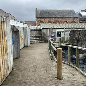 Bristol Zoo Seal and Penguin Coasts