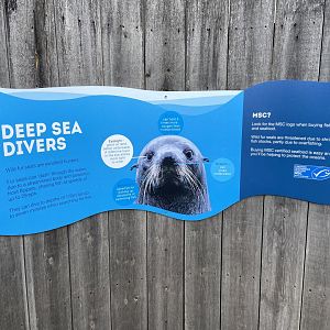 Bristol Zoo Seal and Penguin Coasts