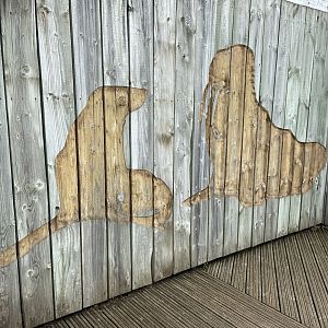 Bristol Zoo Seal and Penguin Coasts