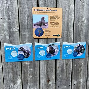 Bristol Zoo Seal and Penguin Coasts