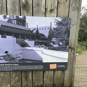 Bristol Zoo Seal and Penguin Coasts