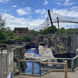 Bristol Zoo Seal and Penguin Coasts
