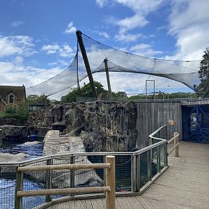 Bristol Zoo Seal and Penguin Coasts
