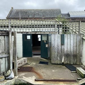 Bristol Zoo Seal and Penguin Coasts