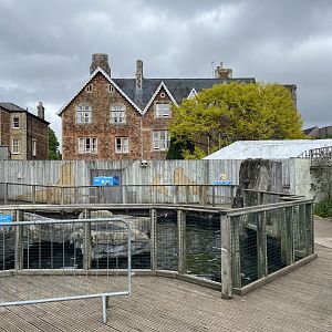 Bristol Zoo Seal and Penguin Coasts