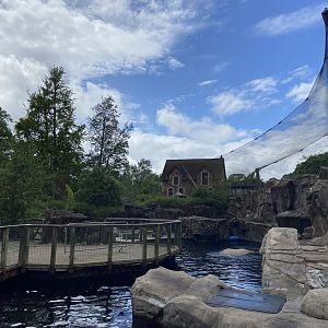 Bristol Zoo Seal and Penguin Coasts