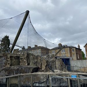 Bristol Zoo Seal and Penguin Coasts