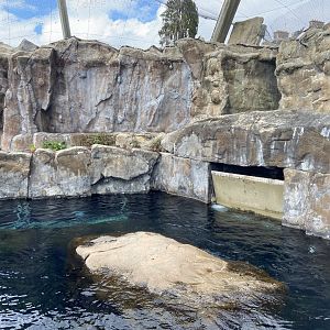 Bristol Zoo Seal and Penguin Coasts