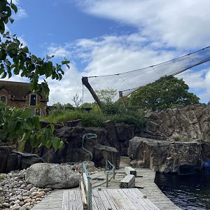 Bristol Zoo Seal and Penguin Coasts