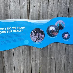 Bristol Zoo Seal and Penguin Coasts