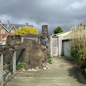 Bristol Zoo Seal and Penguin Coasts
