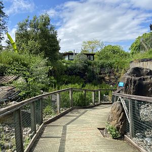 Bristol Zoo Seal and Penguin Coasts