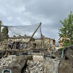 Bristol Zoo Seal and Penguin Coasts