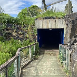 Bristol Zoo Seal and Penguin Coasts