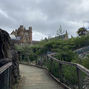 Bristol Zoo Seal and Penguin Coasts