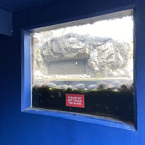 Bristol Zoo Seal and Penguin Coasts