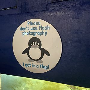 Bristol Zoo Seal and Penguin Coasts